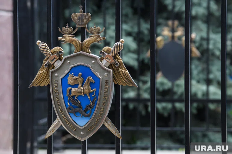 После вмешательства СК задолженность по зарплате сократилась с 100 млн рублей до 3 млн