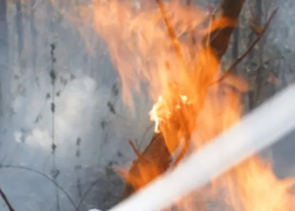 Фотография из галереи