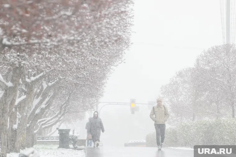 В Москве 9 января прошел сильнейший снегопад