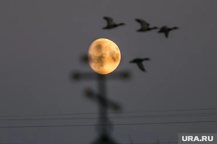 Что можно отметить 7 октября 2025 года