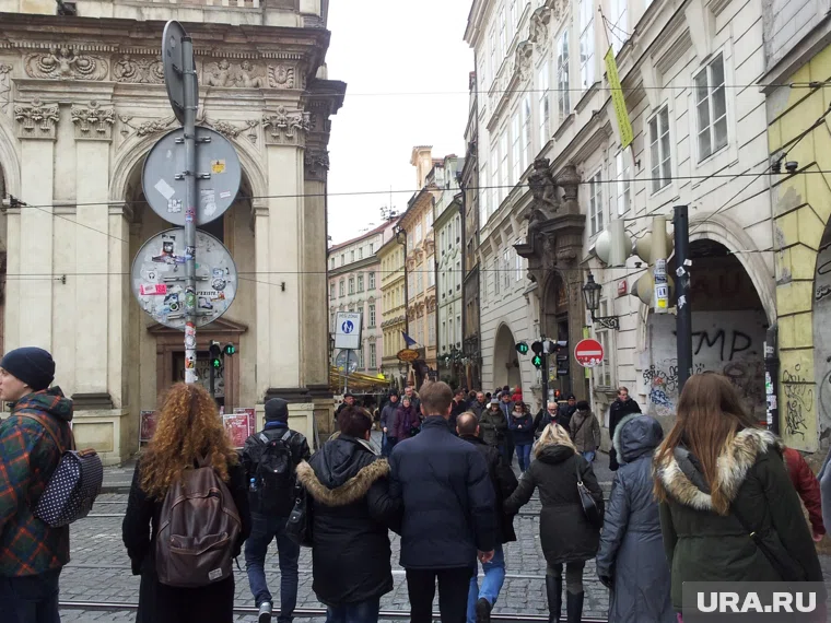 Сейчас преждевременно поручать кому-либо формирование правительства, считает президент Чехии