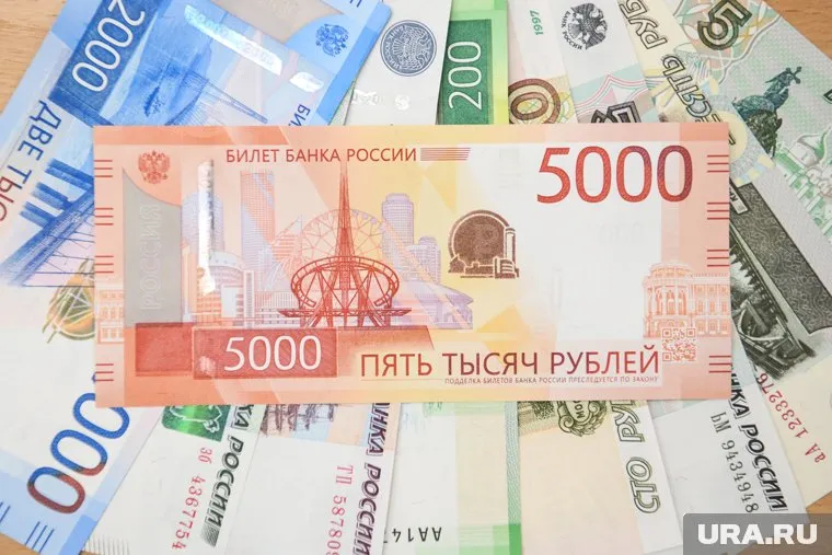 В регионе на 39% выросло число вакансий на специалистов без опыта