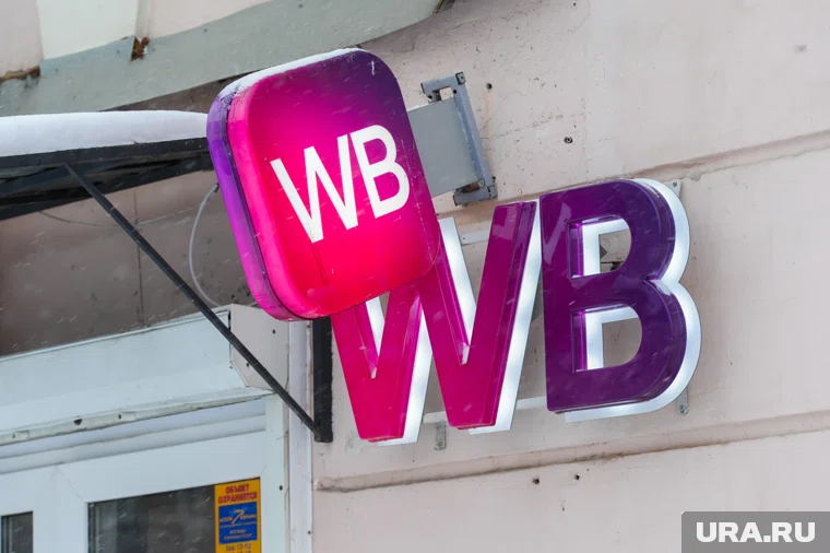 Правительство приняло меры поддержки для WB