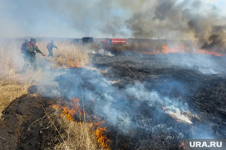Пожар охватил три гектара территории между поселками (архивное фото)