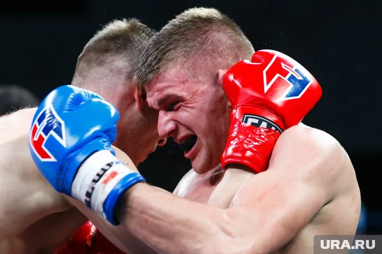 Поединков по смешанным единоборствам в Челябинске не будет - только чистый бокс