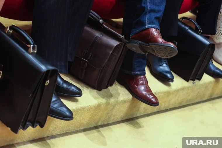 Советники будут изучать опыт других стран и готовить аналитику