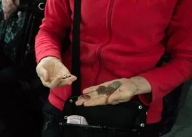 В Кургане пройдет акция против повышения проезда в автобусах