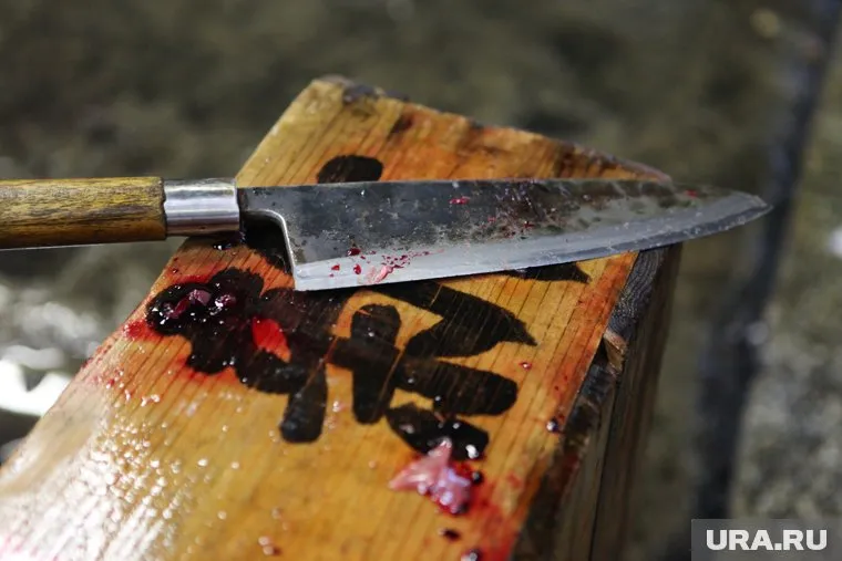 Личность съеденной женщины до сих пор не установлена