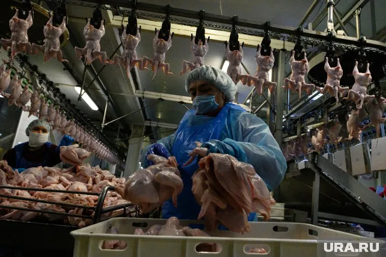 Начальство считает, что стоя работается лучше