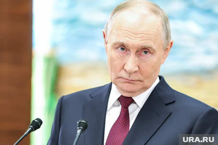 Путин отметил, что в этом году рост товарооборота между РФ и Венгрией составит 7%