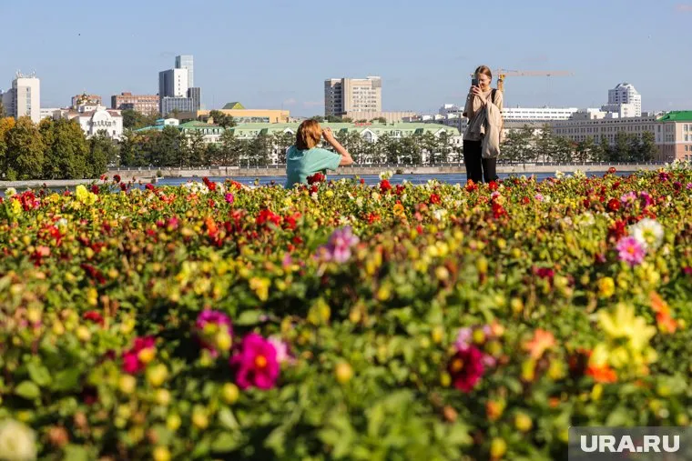 Летняя погода на европейской территории РФ сохраняется и ночью, отметил Роман Вильфанд