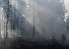 Фотография из галереи