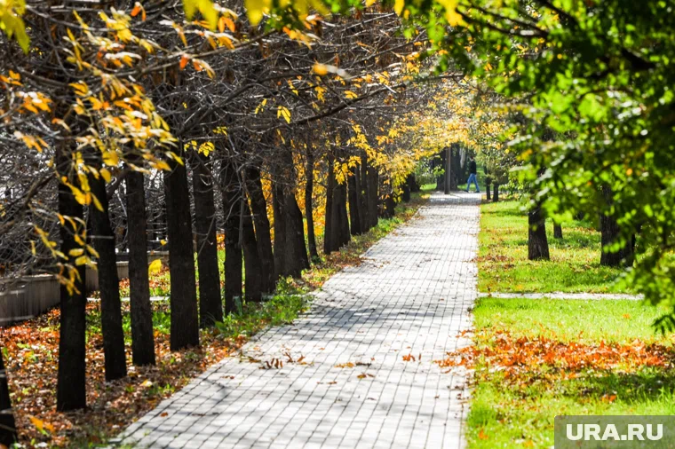 Погожие осенние дни придут в Челябинск 