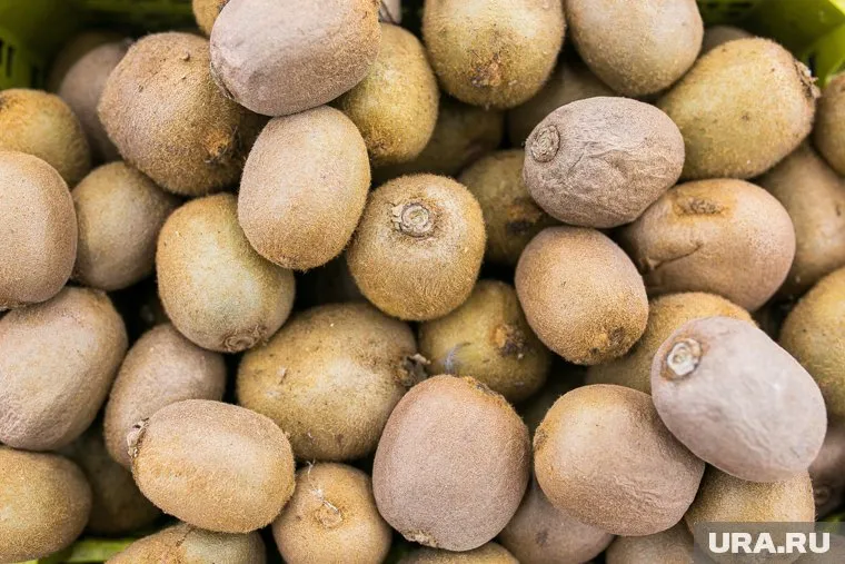 Зараженные щитовкой киви не опасны для человека