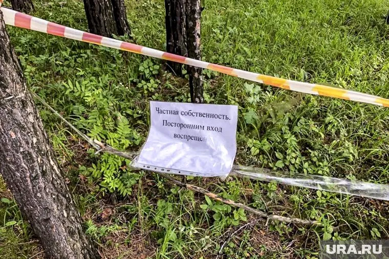Челябинцы протестуют против вырубки леса
