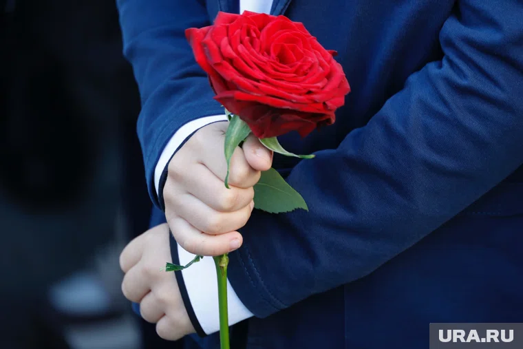 В ХМАО родители оценили школы в сервисе 2ГИС