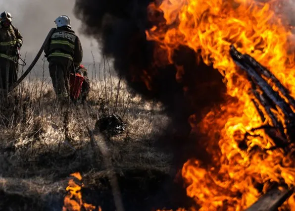 Фотография из галереи