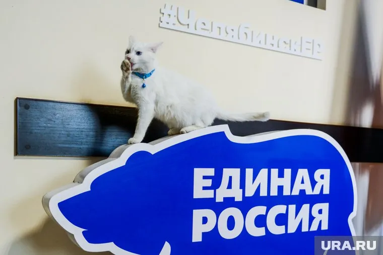 В челябинском отделении ЕР подвели итоги выдвижения на праймериз