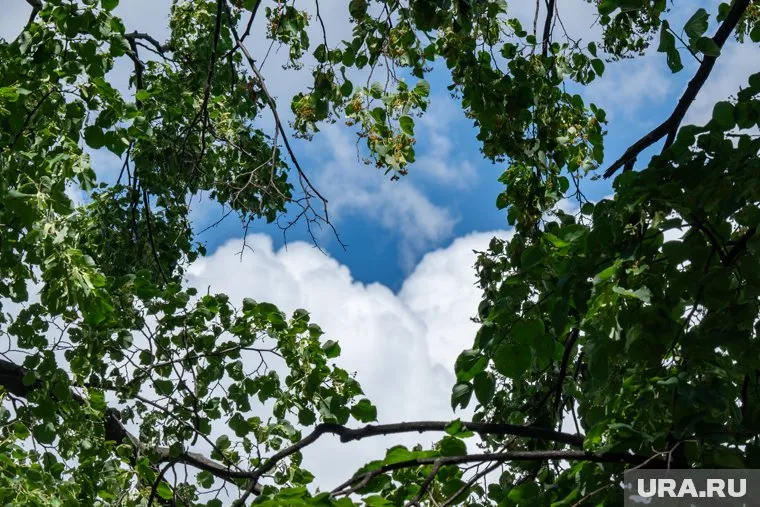 Весь день будет штиль