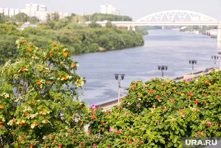 Уровень обмеления Туры приблизился к критическому