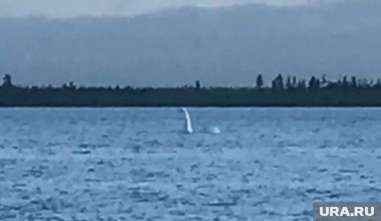 Житель Ноябрьска сфотографировал необычное явление во время утренней пробежки