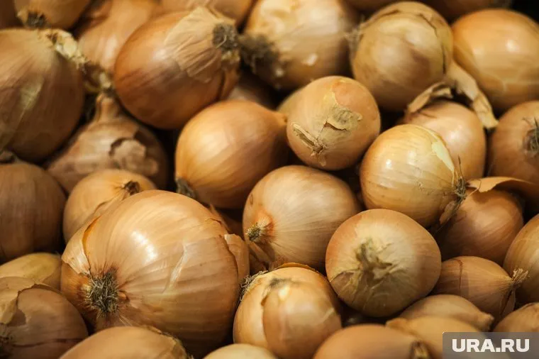 Лук, по словам жителей, выбрасывает местное предприятие