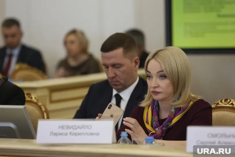 Бывший бизнес-омбудсмен Лариса Невидайло ушла в отставку 25 ноября