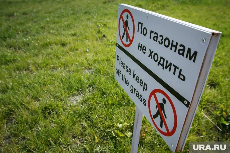 Cуд посчитал инцидент на газоне полноценным ДТП