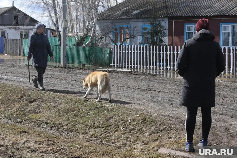 Жителей Белгородской области начнут отселять с обстреливаемых ВСУ территорий (архивное фото)