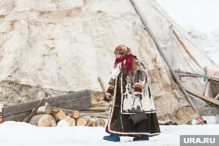 Получить деньги жители ЯНАО при поступлении в аспирантуру