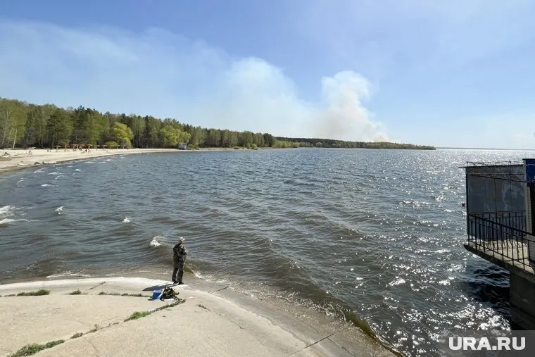 Останки человека нашли на берегу озера Большое Миассово