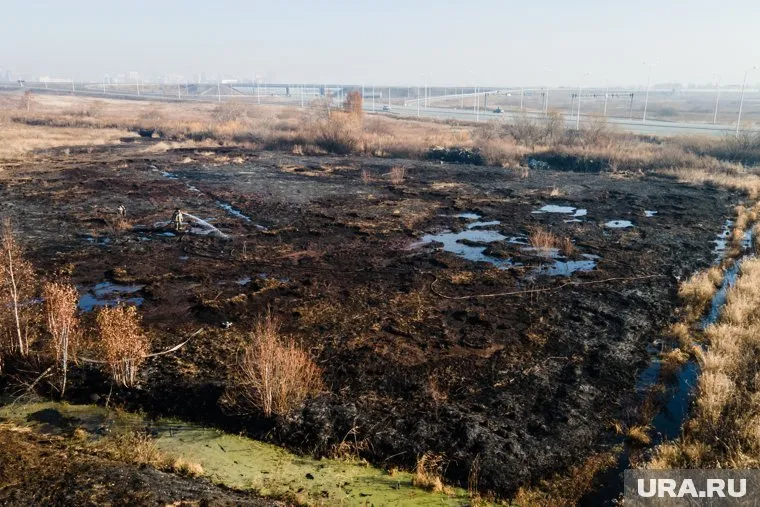 В одном из лесничеств нашли участок со сгоревшей сухой травой