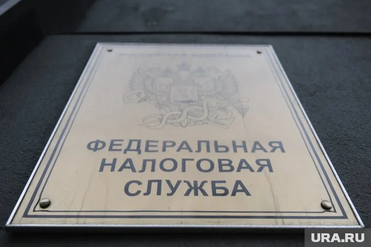 Поправки в закон позволят ФНС проверять любого россиянина