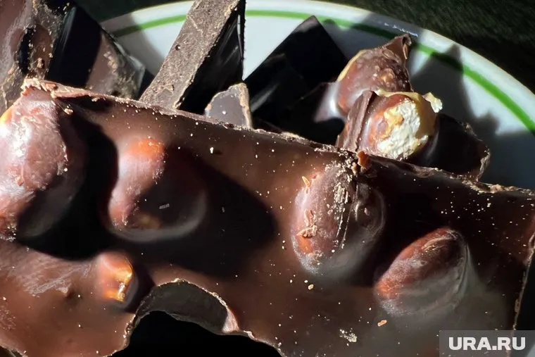 Цена на шоколад может увеличится из-за проблем в выращивании какао-бобов