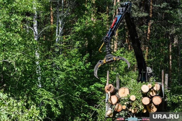 Несчастный случай произошел на Кособродском деревообрабатывающем заводе (архивное фото)