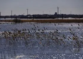 36 домов затоплено, 87 человек в зоне ЧС: наводнение в Хабаровском крае