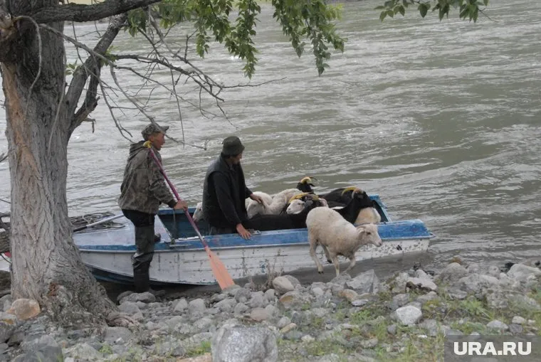 Паводок в Оренбургской области самый многоводный за всю историю, заявил Паслер