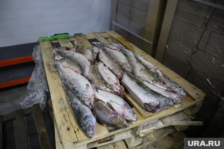 Судьба продукции зависит от результатов ее проверки (фото из архива)