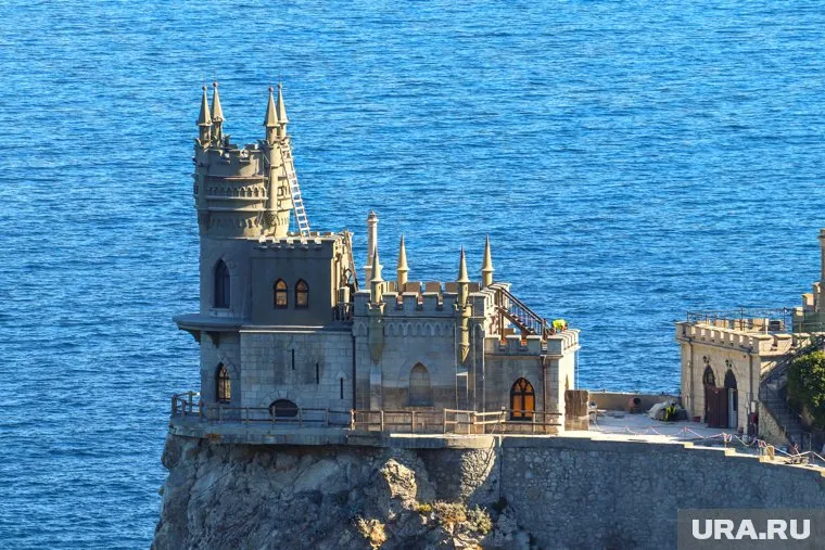 Мужчина сбросил четвероногого жителя "Ласточкиного гнезда"