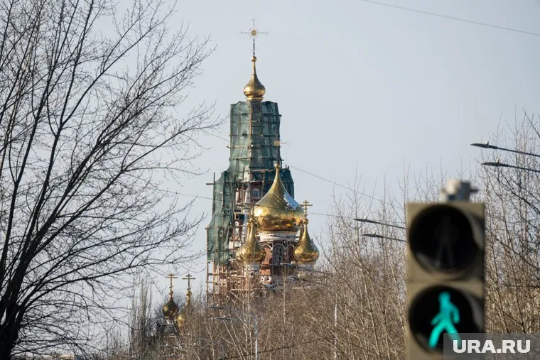 Деревья в городе «омолаживают» каждый год