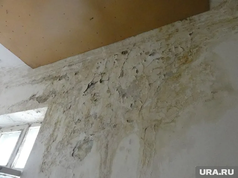 Сироты из Катайска собирают подписи под обращением в Генпрокуратуру из-за квартир, в которых невозможно жить