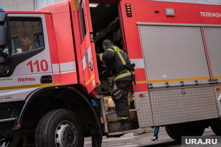 Березовая фанера одна из самых прочных