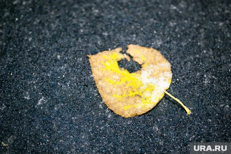 Первый снег тюменцам обещают 18 октября