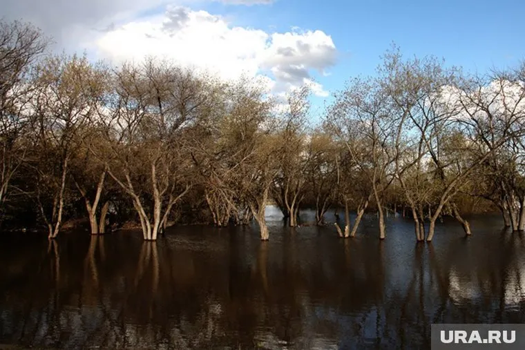 Власти заявили о готовности курганского округа к паводку
