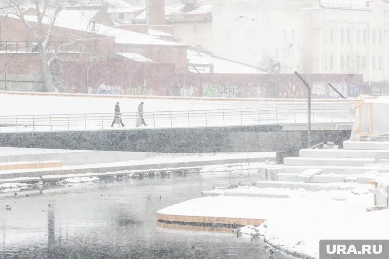 Снегопад накроет область 19 марта