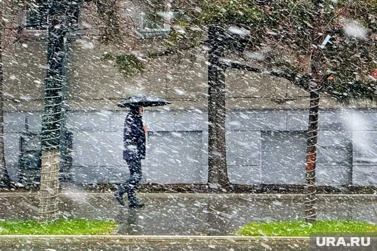 В Кургане прогнозируют первый снег с метелью (архивное фото)