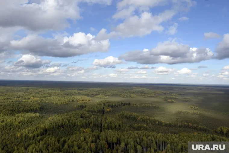 Волонтеры очистили от мусора территорию площадью 3,5 га