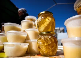 Китайцы хотят наладить поставки меда из Курганской области