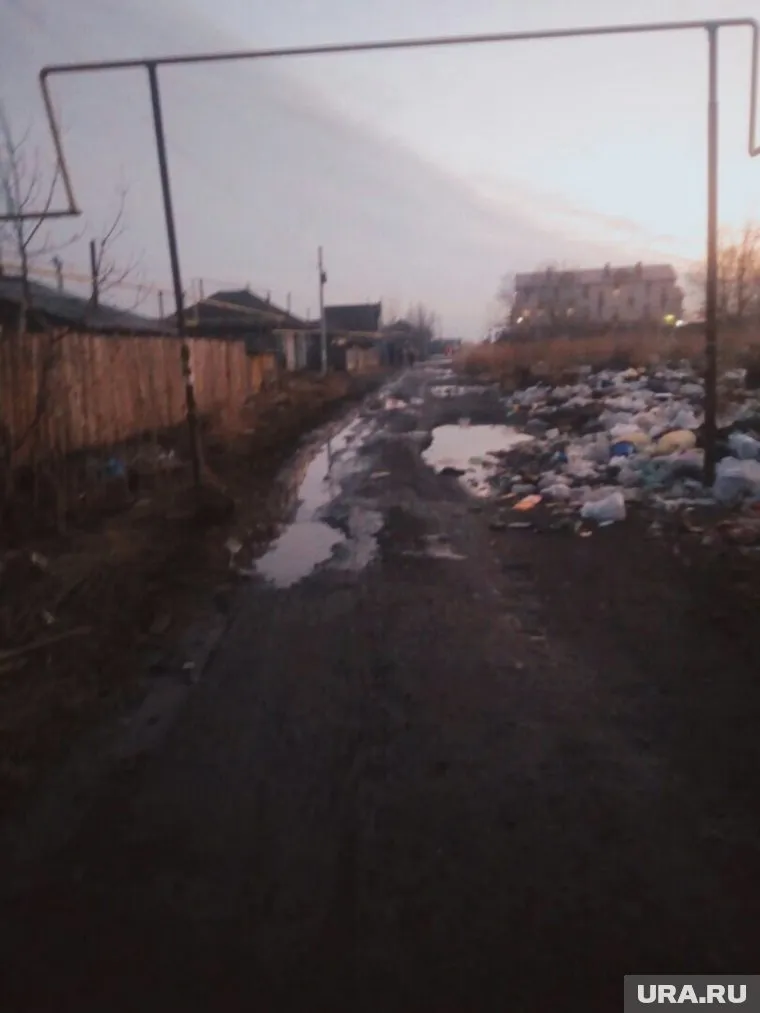 Свалка в спальном районе привлекает грызунов