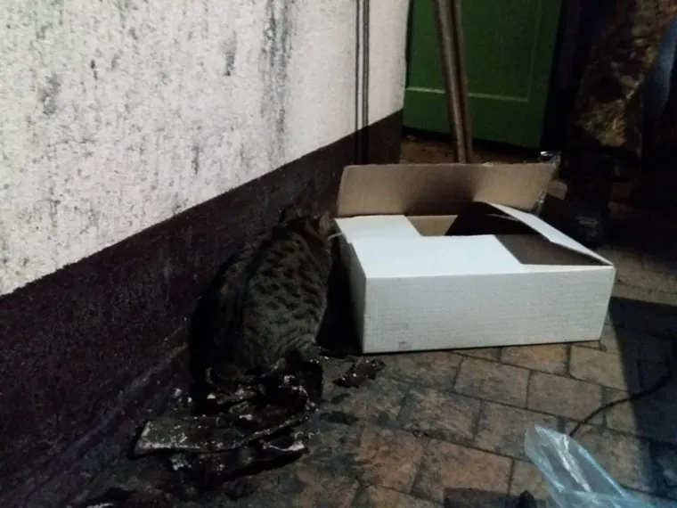 Выгоревшая квартира, с которой начался пожар в доме на Рассветной, 7 в Екатеринбурге